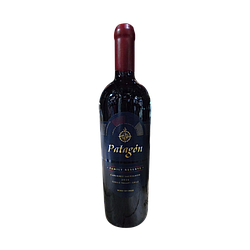 PATAGON CABERNET SAUVIGNON FAMILY RESERVE VINTAGE